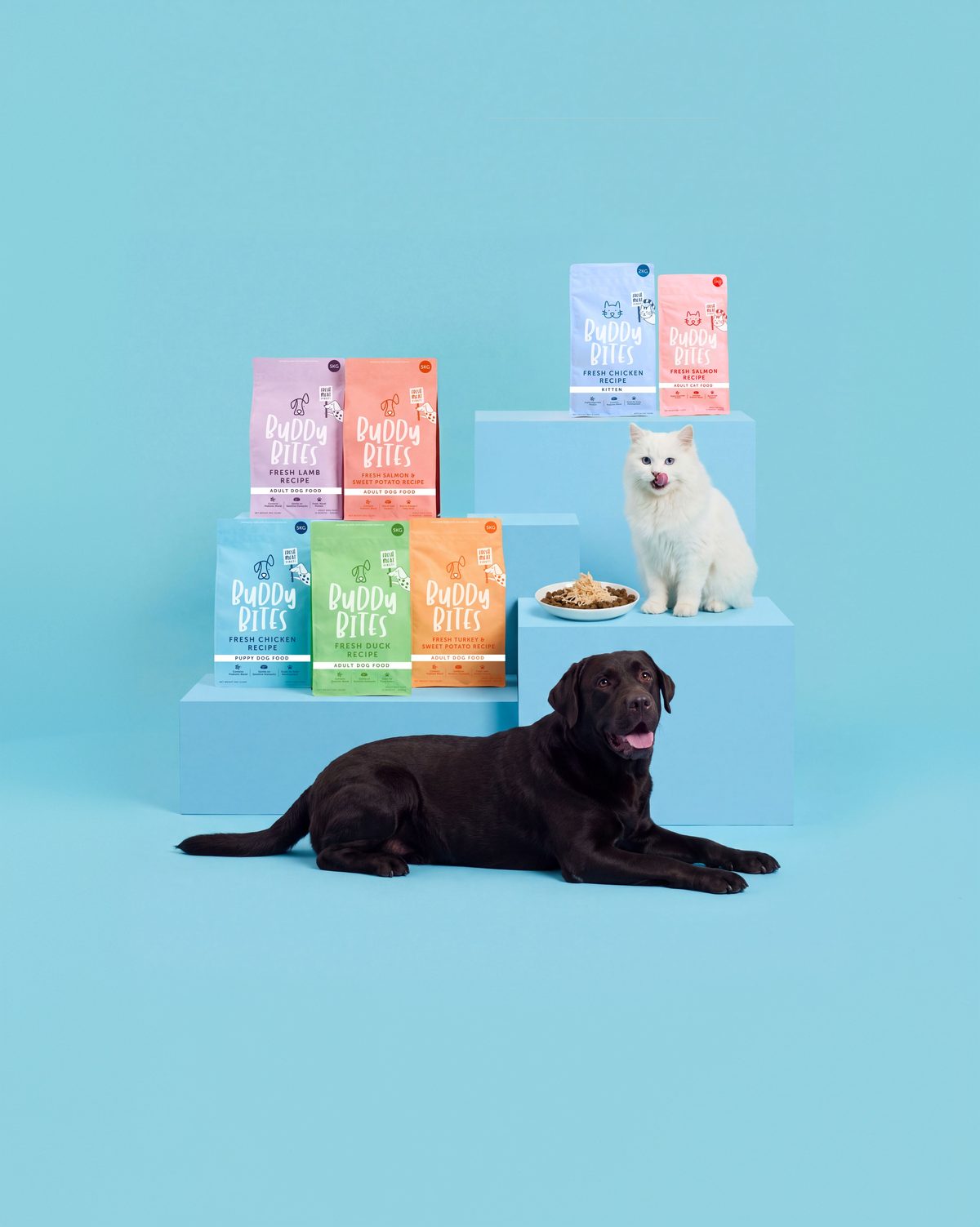 Buddy Bites dog and cat food bags on blue steps, with a black Labrador and a white cat