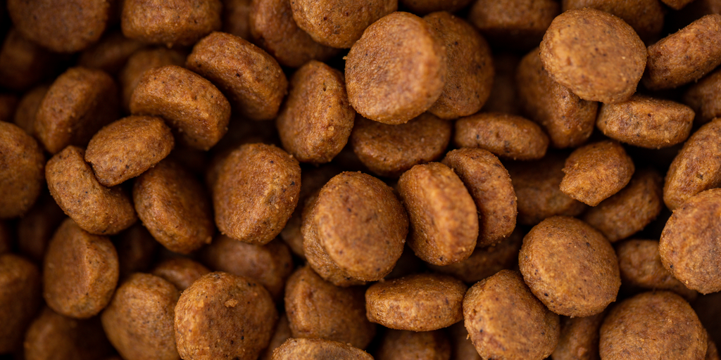 Understanding Meal in Dog Kibble: Misconceptions and Benefits – Buddy ...