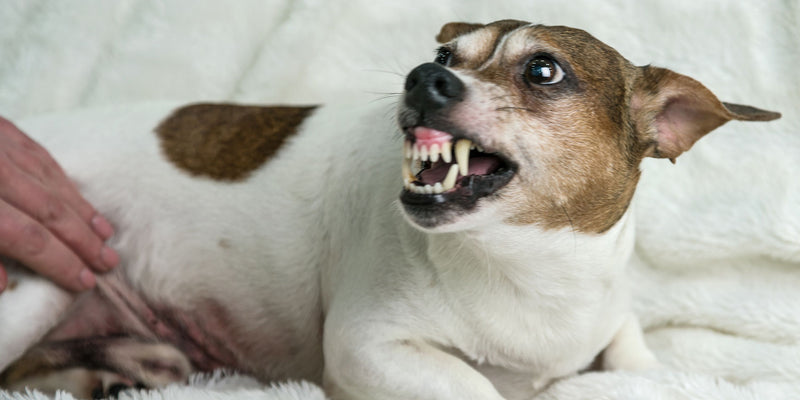 What is Resource Guarding?