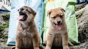 Lifestyle Asia | Q&A: Chris Lee & Ryan Black