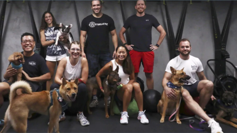 Pupfit 2021- $147,000 raised!!