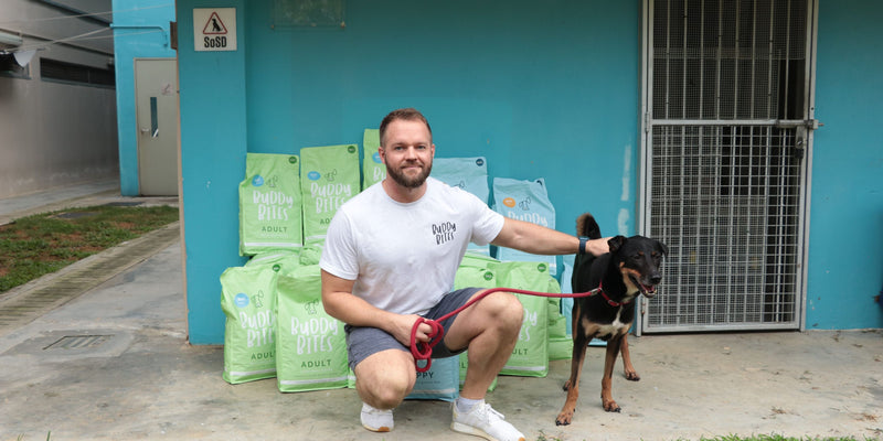 Founders Update – Singapaw!