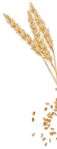 Good Stuff Nutrients