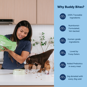 Adult Dog Sample Starter Pack