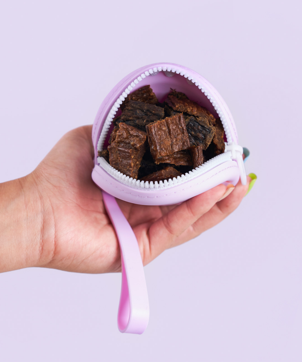 Dog Treat Pouch