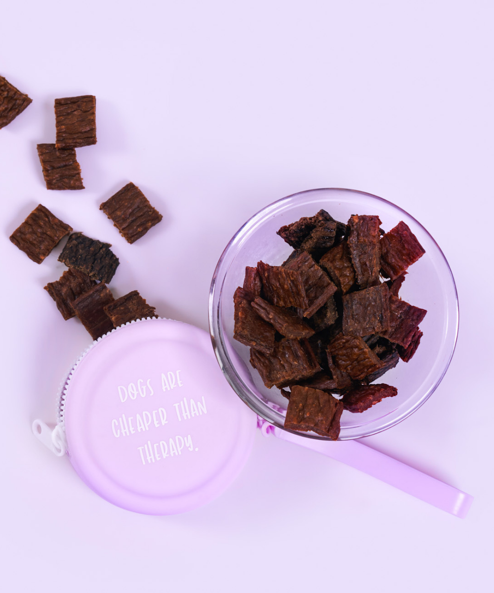 Dog Treat Pouch