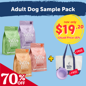 Adult Dog Sample Starter Pack