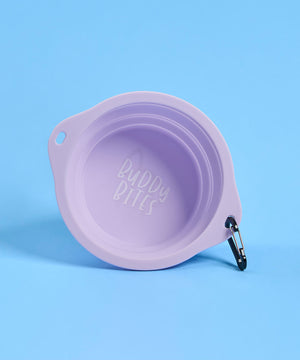 Large Portable Bowl