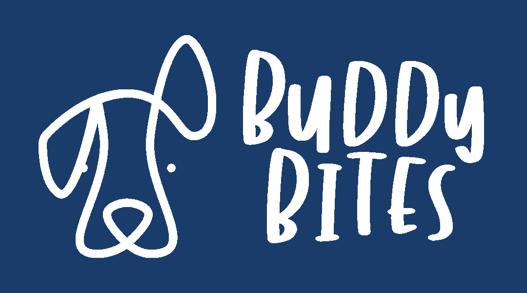 Adult Kibbles – Buddy Bites SG