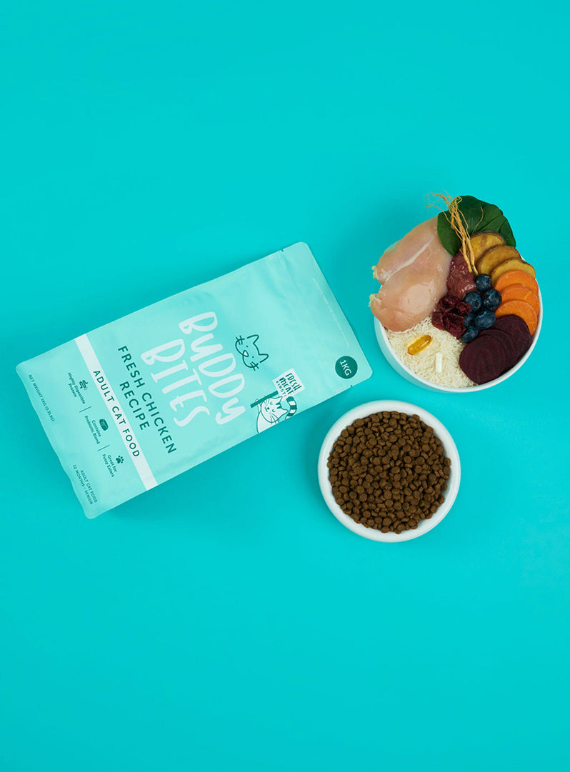Adult Chicken Dry Cat Food