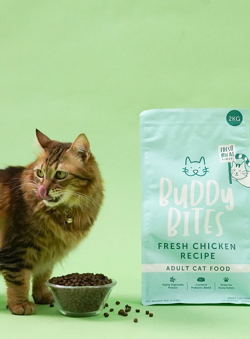 Adult Chicken Dry Cat Food