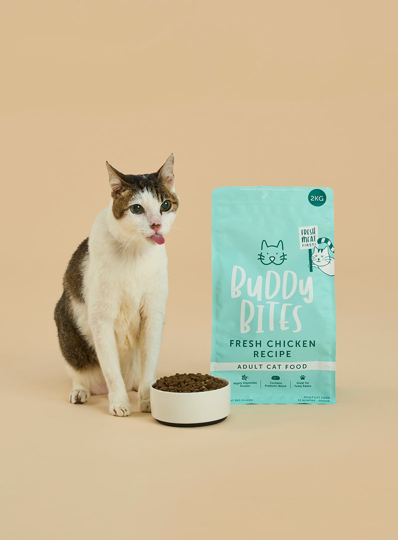 Adult Chicken Dry Cat Food