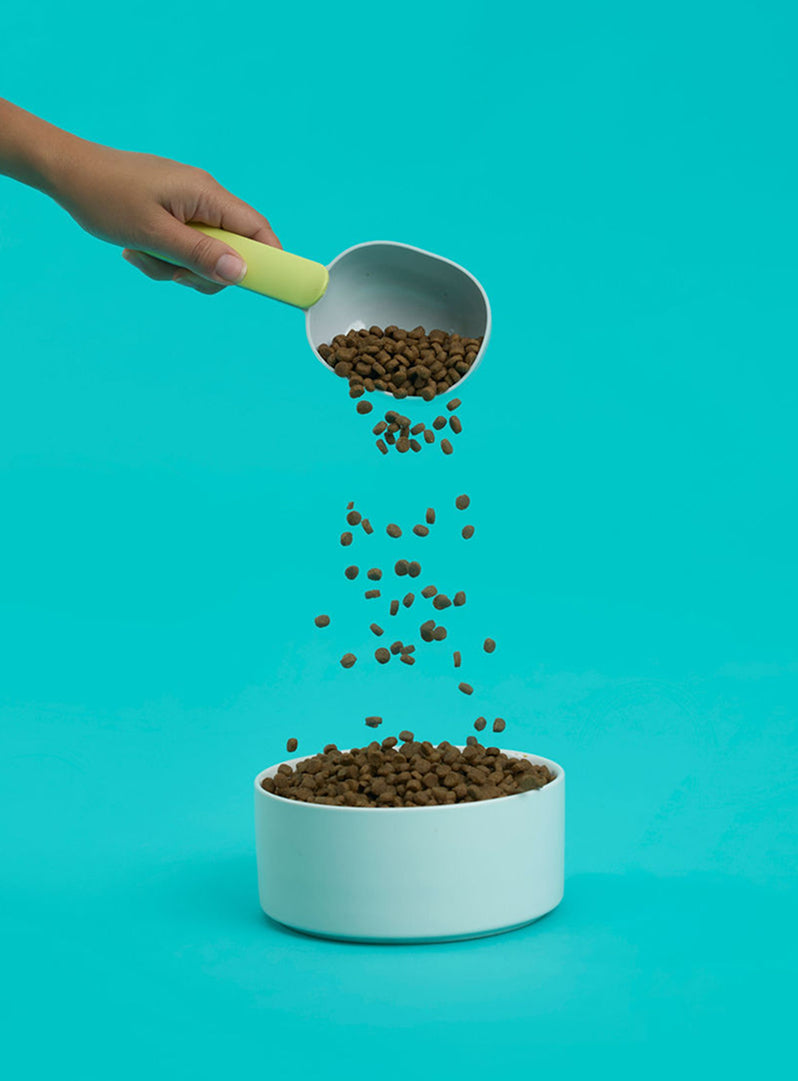 Adult Chicken Dry Cat Food
