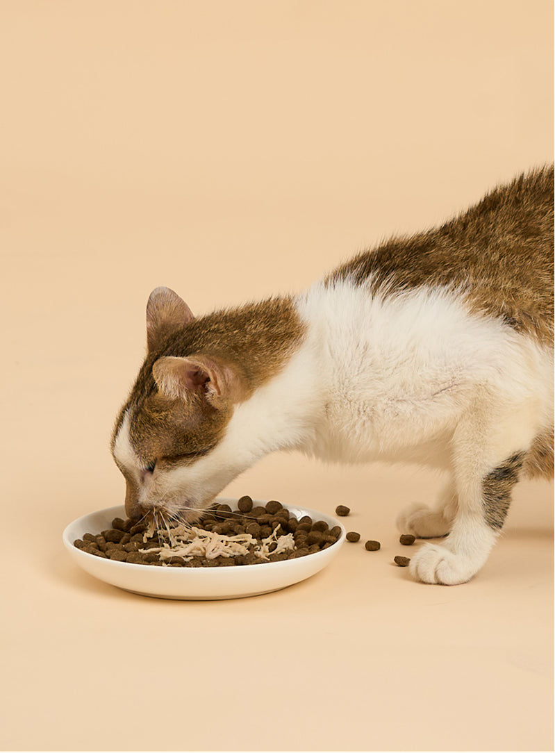 Cat Food Topper (Pouch) - Chicken with Salmon in Broth 70g