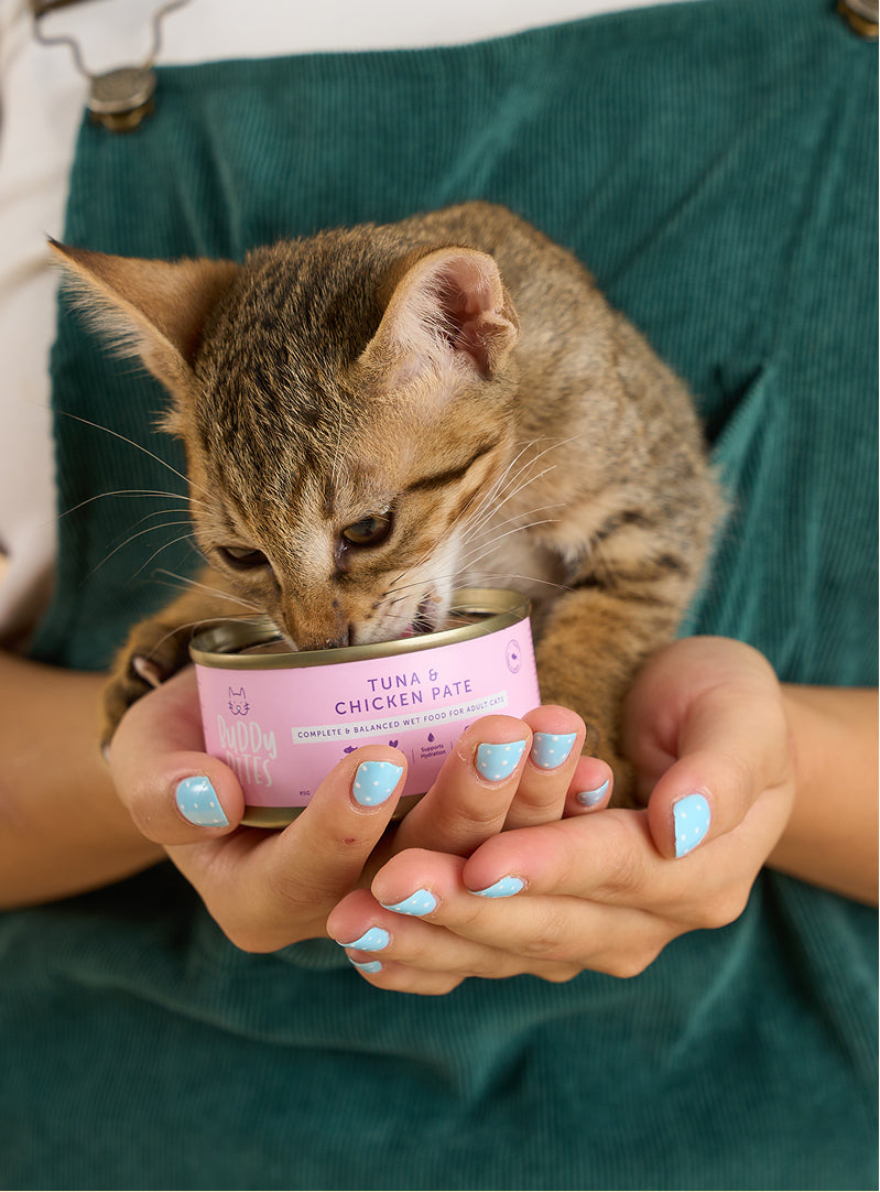 Cat Can - Tuna and Chicken Pate 85g