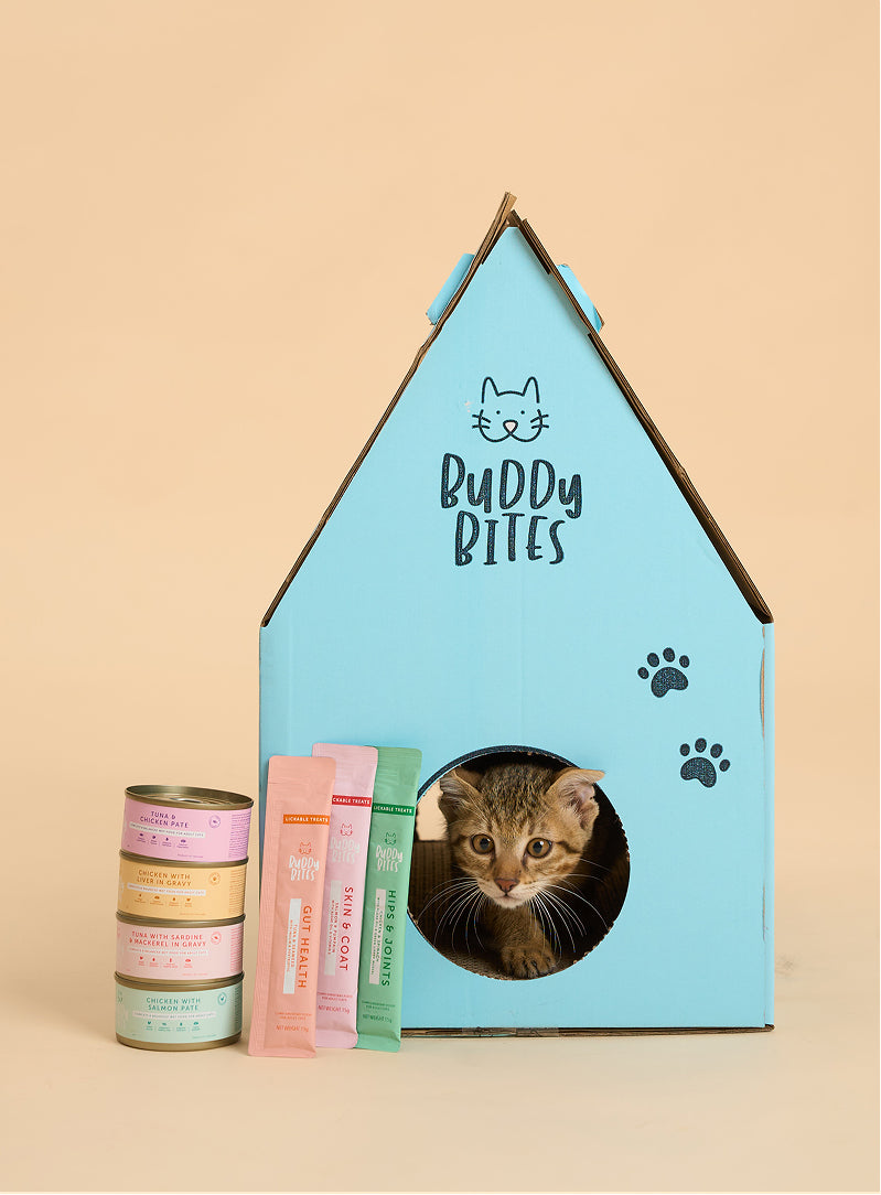 Cat Can - Chicken with Salmon Pate 85g