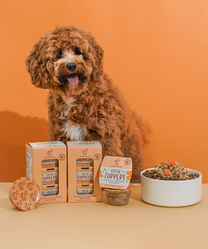 Fresh Toppers (Chicken & Vegetables)