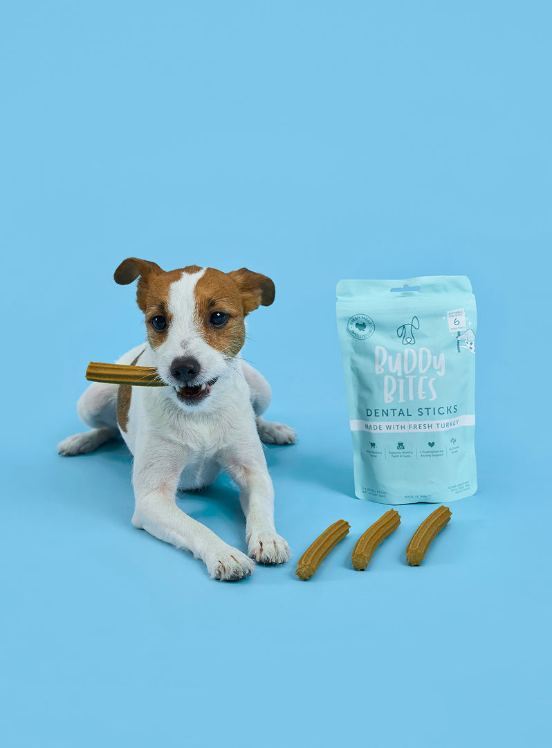 Buddy Bites Dental Sticks