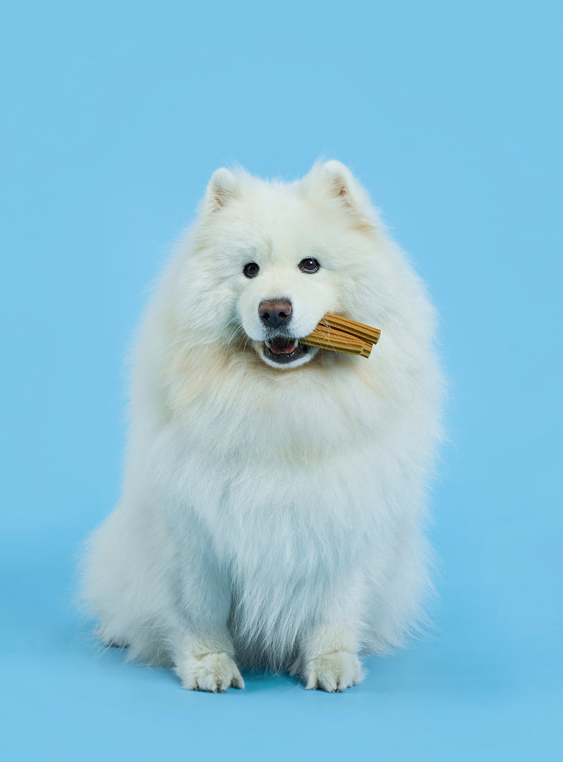 Buddy Bites Dental Sticks