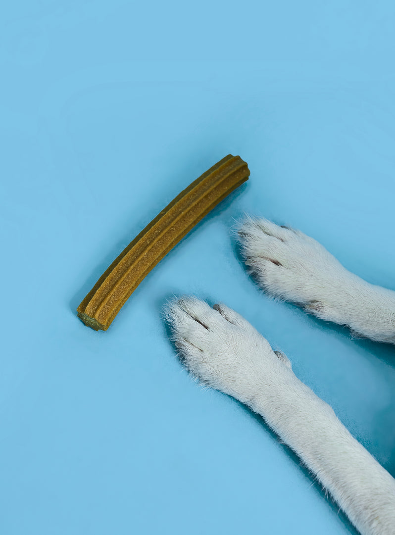 Buddy Bites Dental Sticks