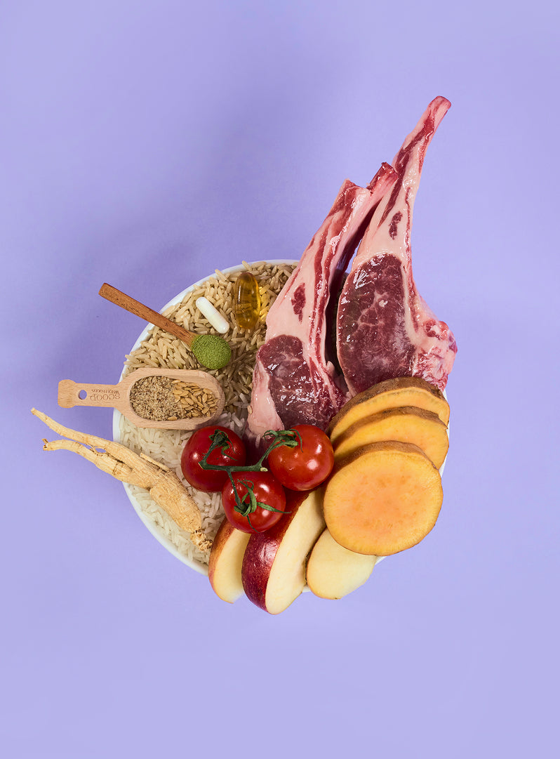 Adult Lamb Dry Food