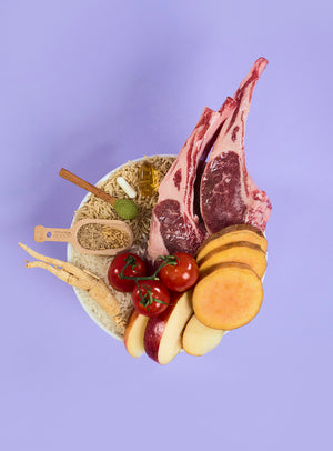 Adult Lamb Dry Food
