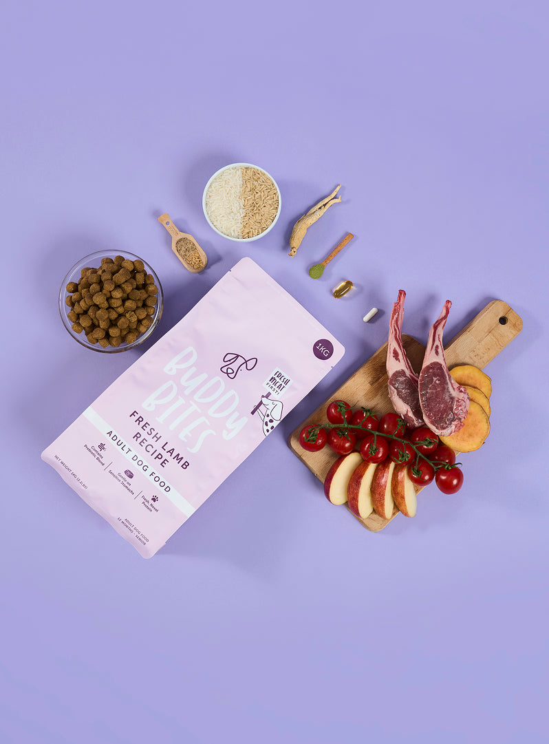 Adult Lamb Dry Food