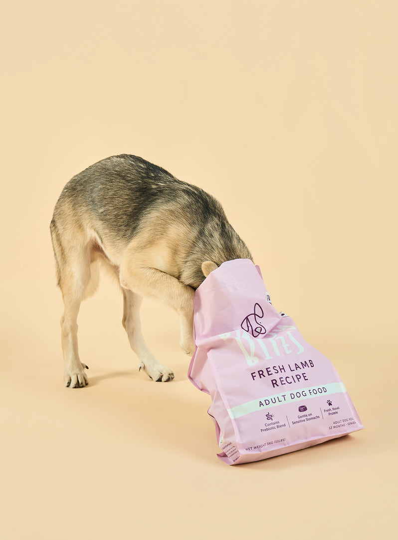 Adult Lamb Dry Food