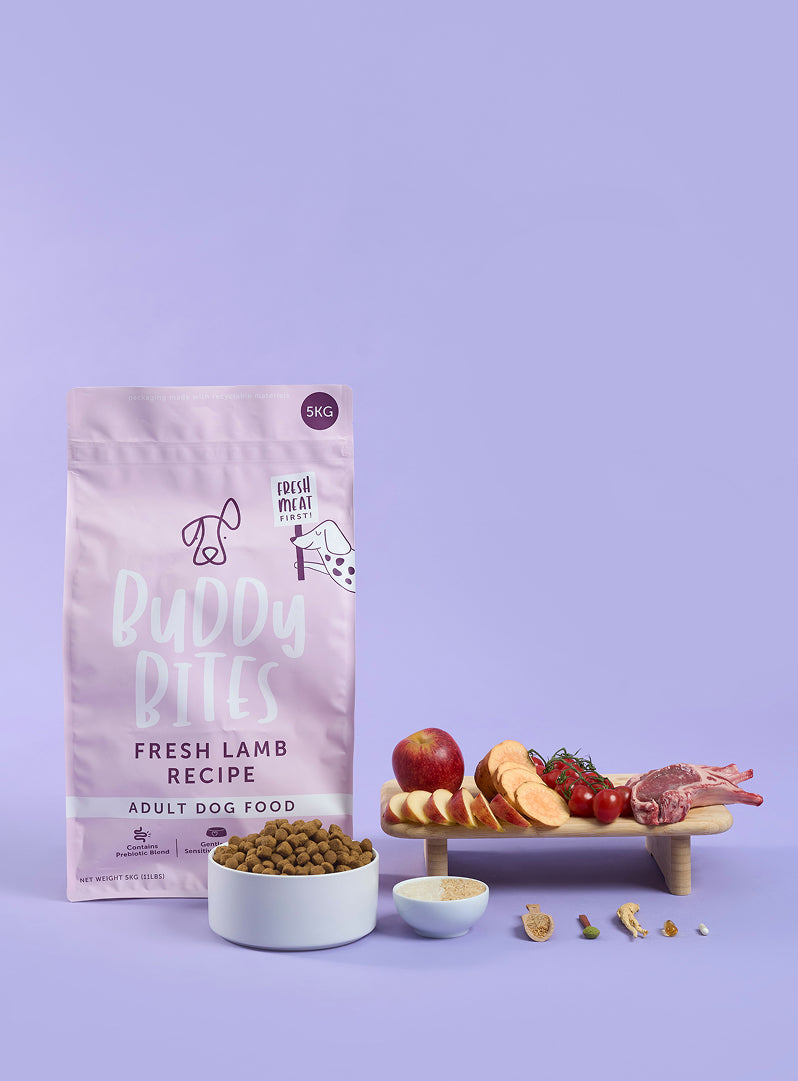 Adult Lamb Dry Food