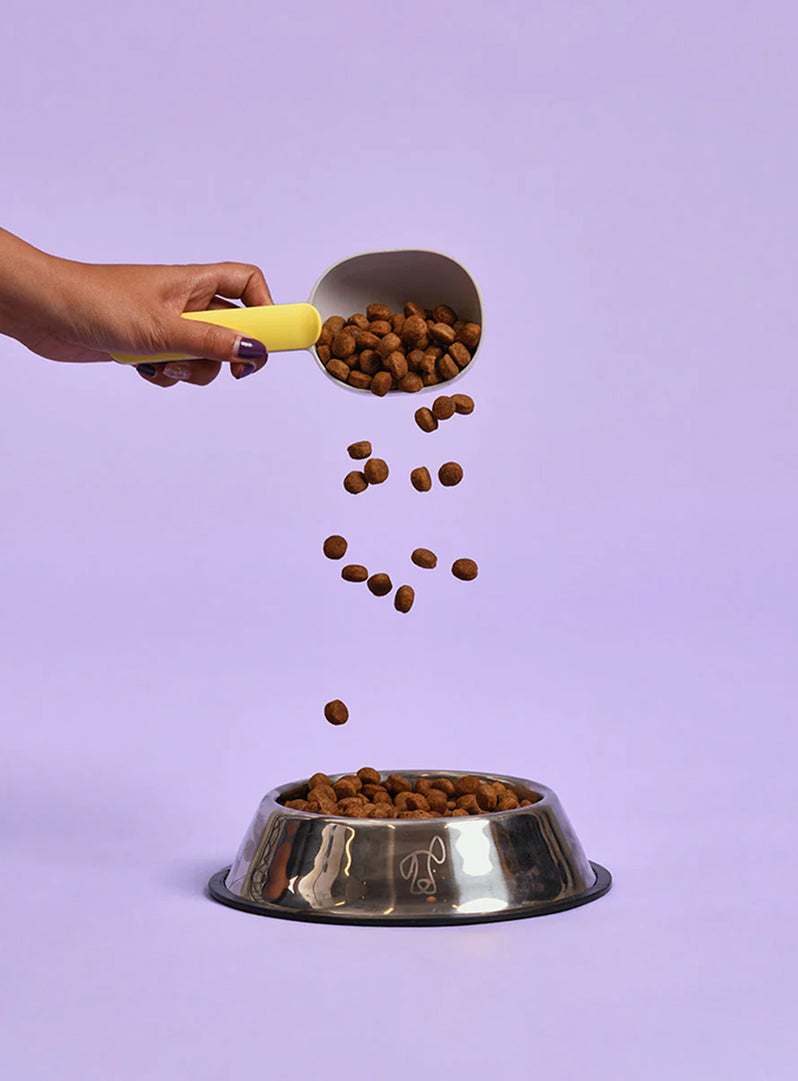 Adult Lamb Dry Food