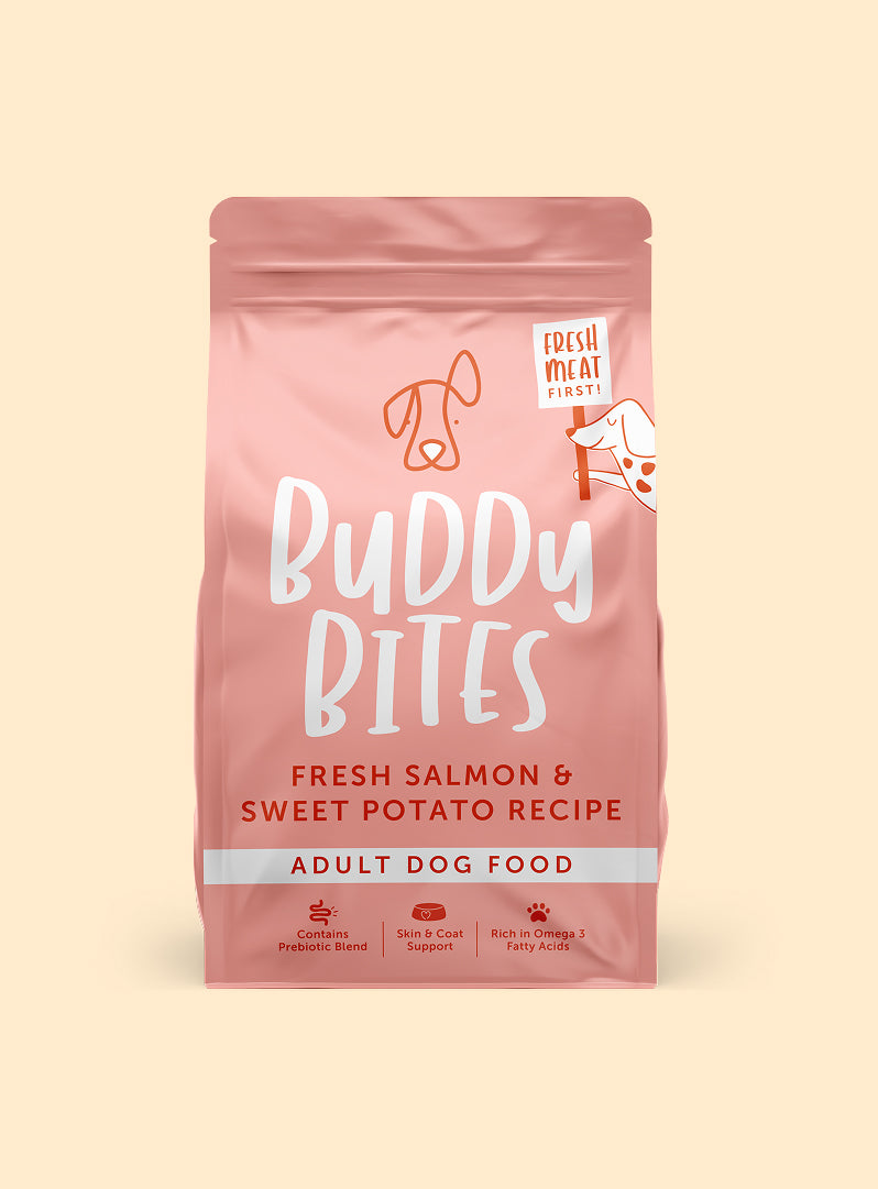Adult Salmon Dry Food