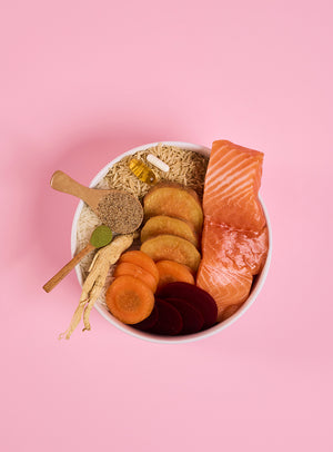 Adult Salmon Dry Food