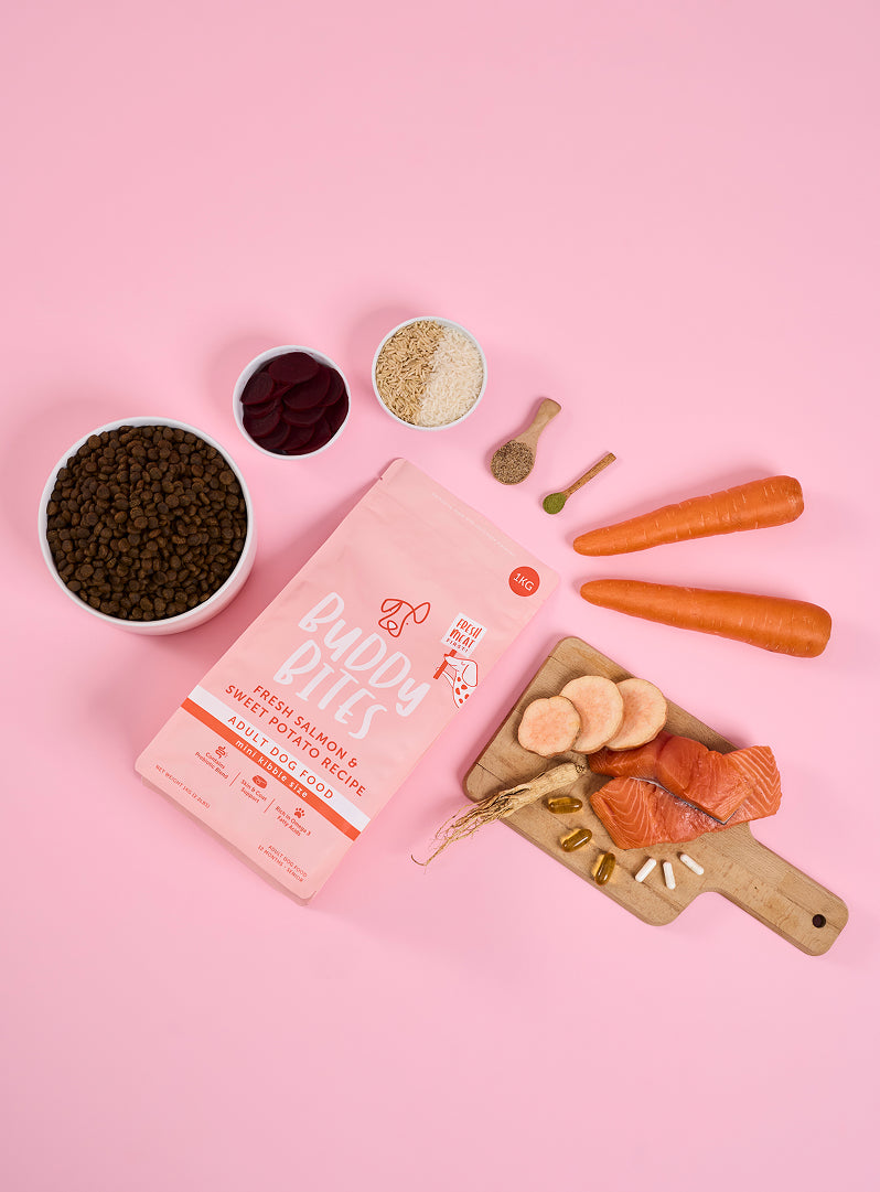Adult Salmon Dry Food