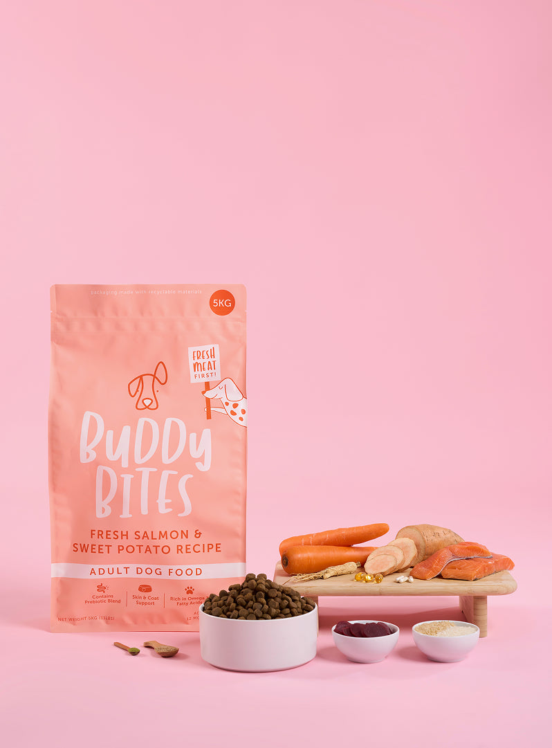 Adult Salmon Dry Food