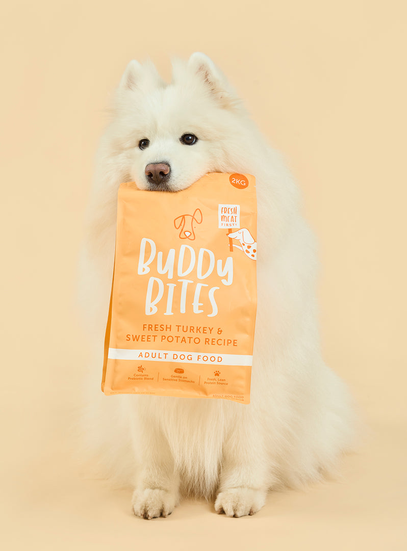 Adult Turkey Dry Food