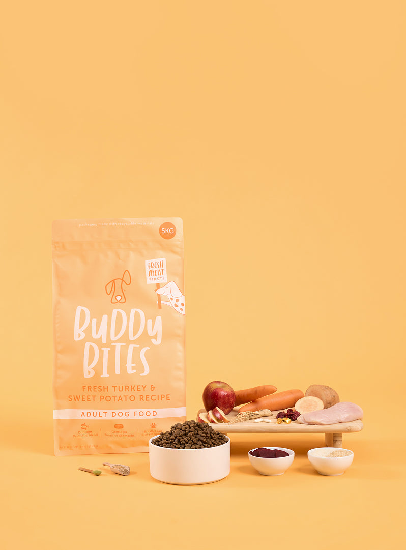Adult Turkey Dry Food