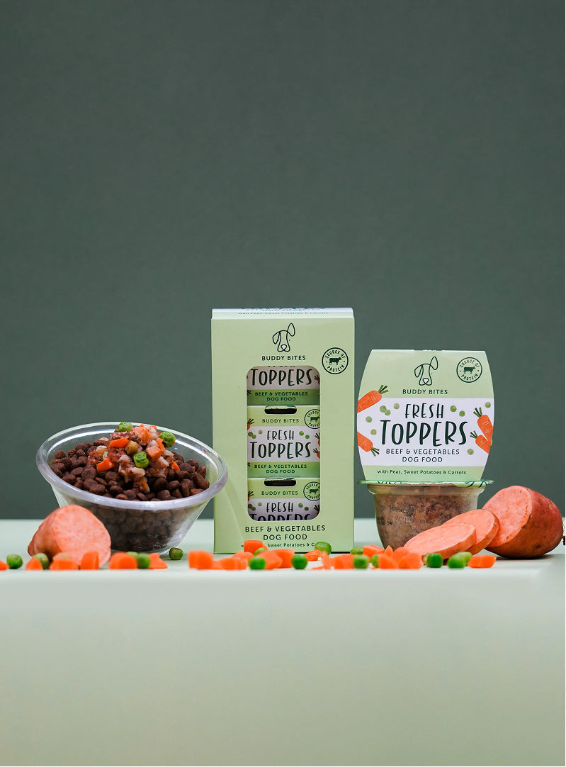 Fresh Dog Food Toppers (Beef & Vegetables)