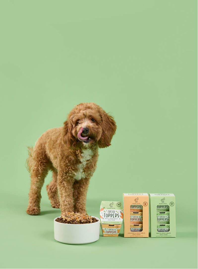 Fresh Dog Food Toppers (Beef & Vegetables)