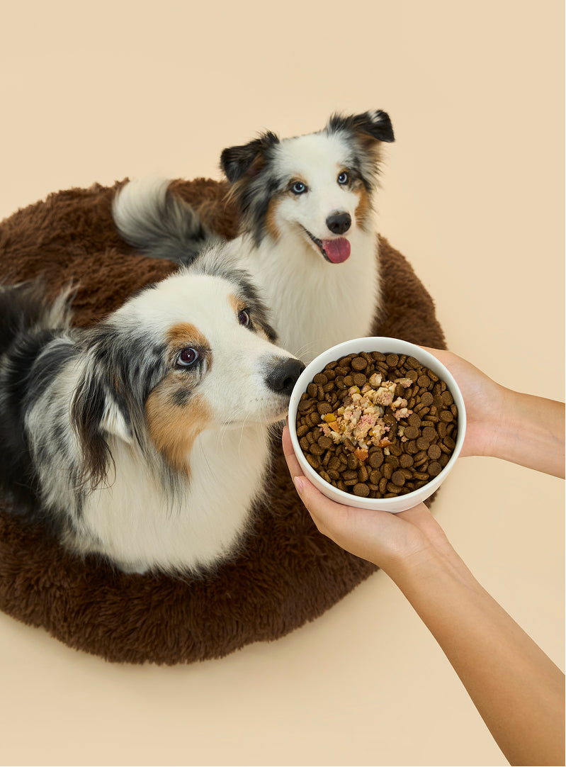 Fresh Dog Food Toppers (Beef & Vegetables)