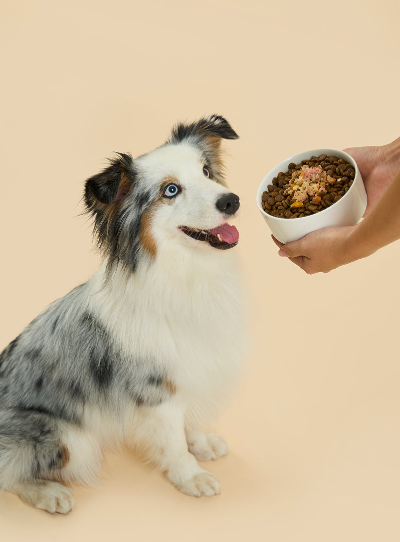Fresh Dog Food Toppers (Chicken & Vegetables)