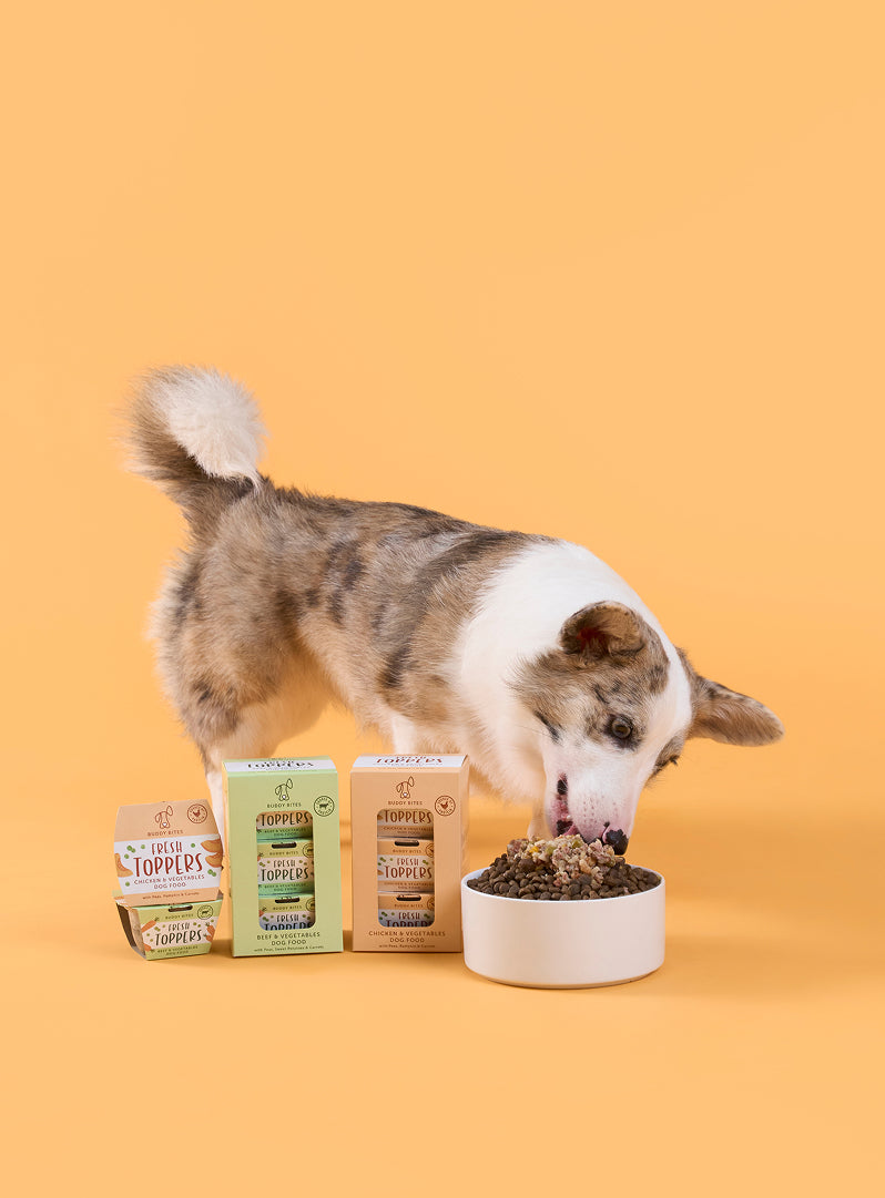 Fresh Dog Food Toppers (Chicken & Vegetables)