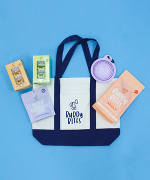 Premium Adult Salmon Starter Pack