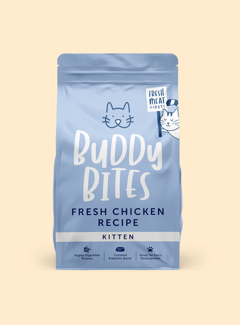 Kitten Chicken Dry Cat Food