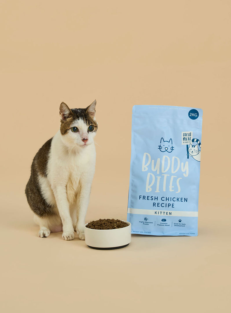 Kitten Chicken Dry Cat Food