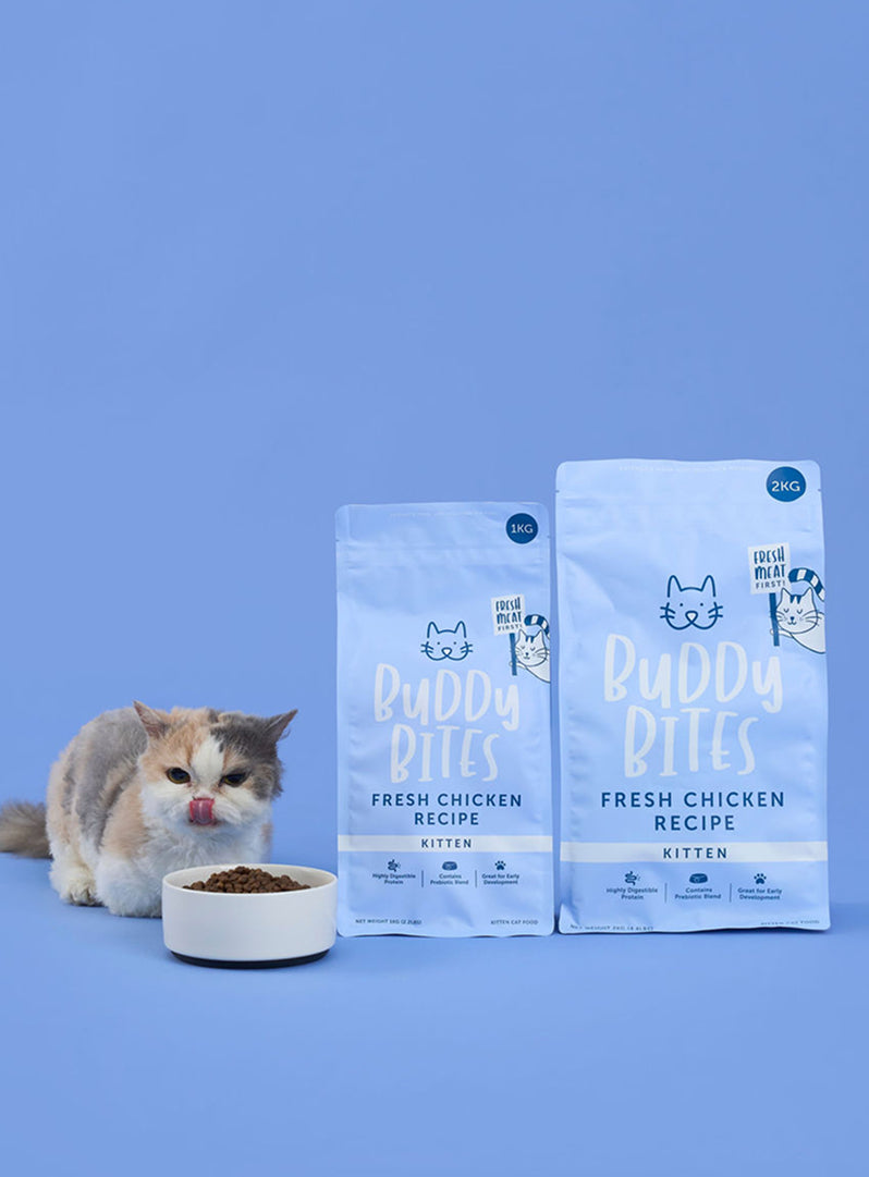 Kitten Chicken Dry Cat Food
