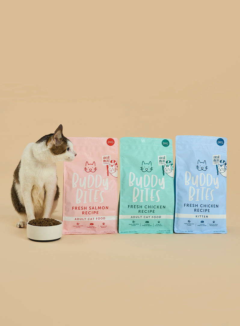 Kitten Chicken Dry Cat Food