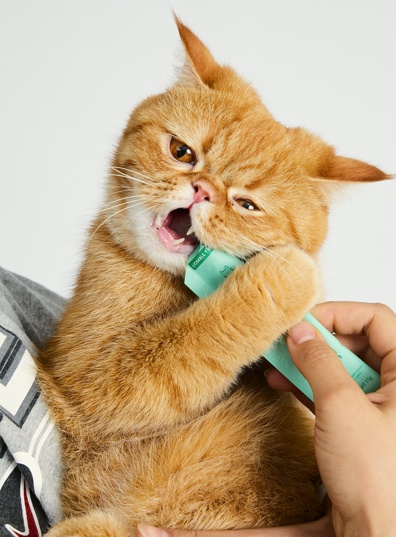 Cat Lickable Treats - Hips & Joints - Chicken with Spinach Box (15gx7)