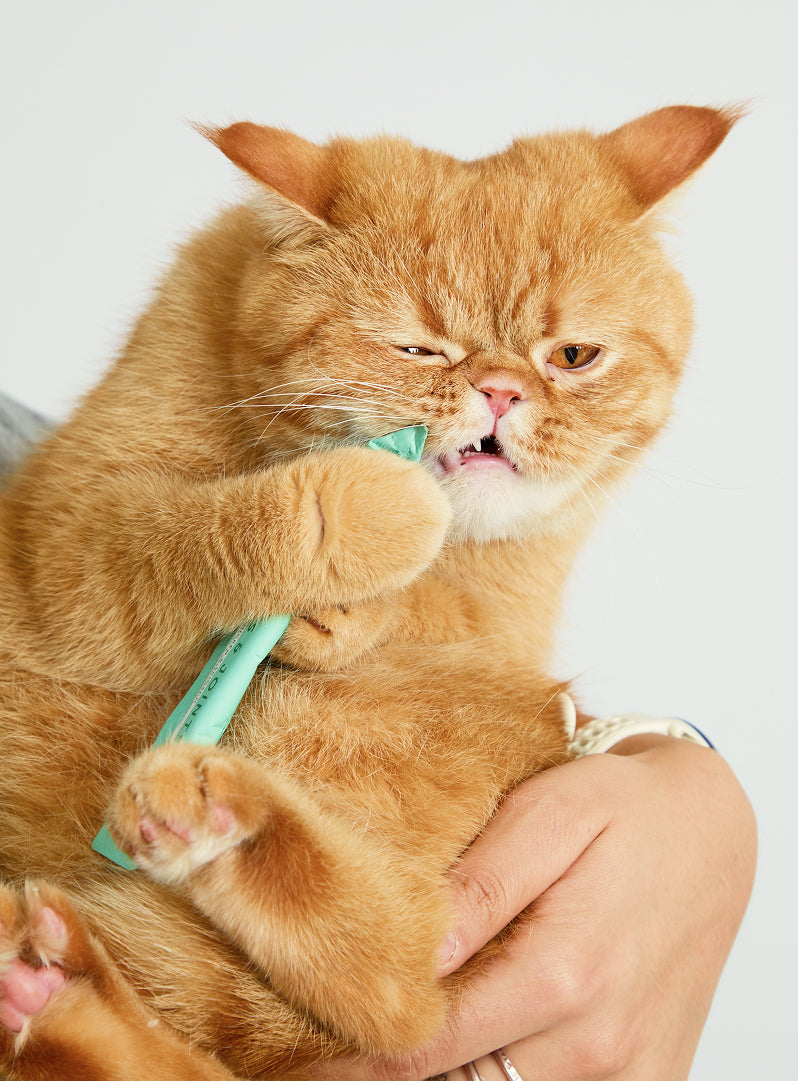 Cat Lickable Treats - Hips & Joints - Chicken with Spinach Box (15gx7)