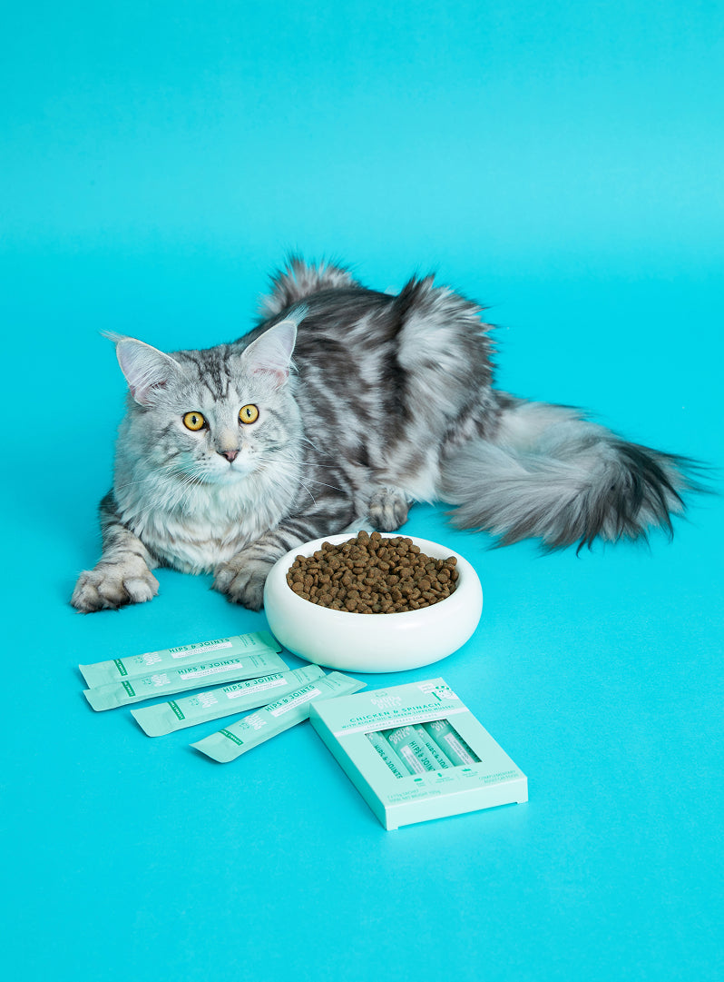 Cat Lickable Treats - Hips & Joints - Chicken with Spinach Box (15gx7)