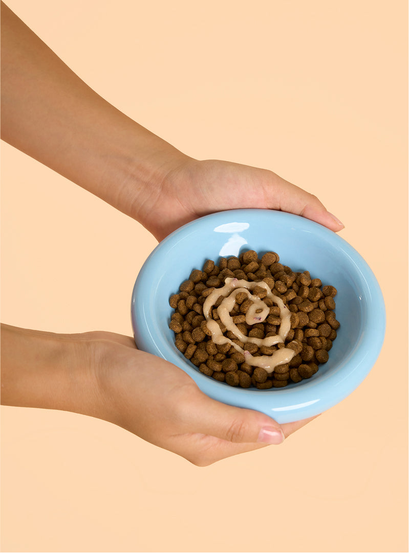 Cat Lickable Treats - Skin & Coat - Salmon with Pumpkin Box (15gx7)